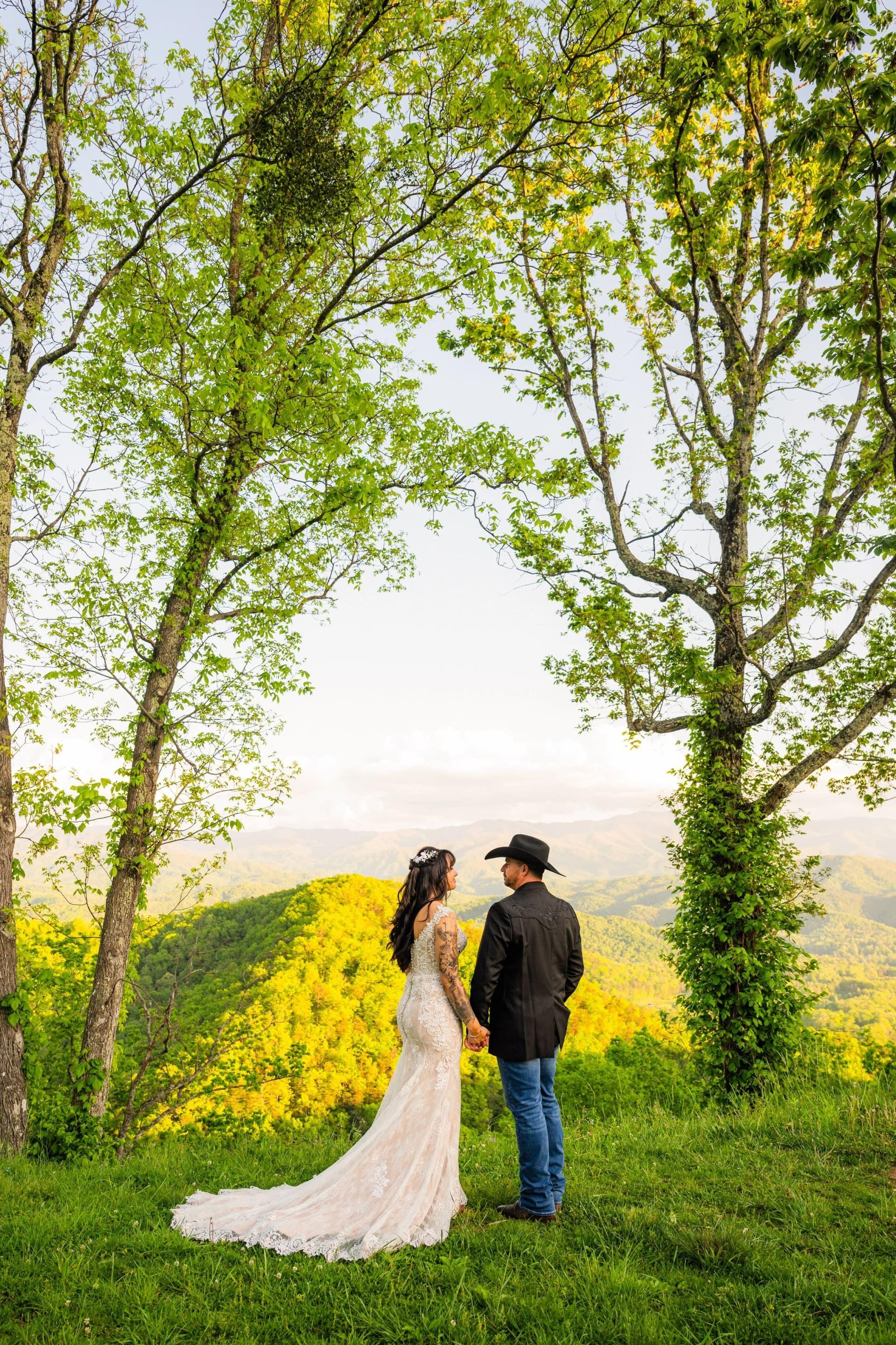 Foothills Parkway elopement photo