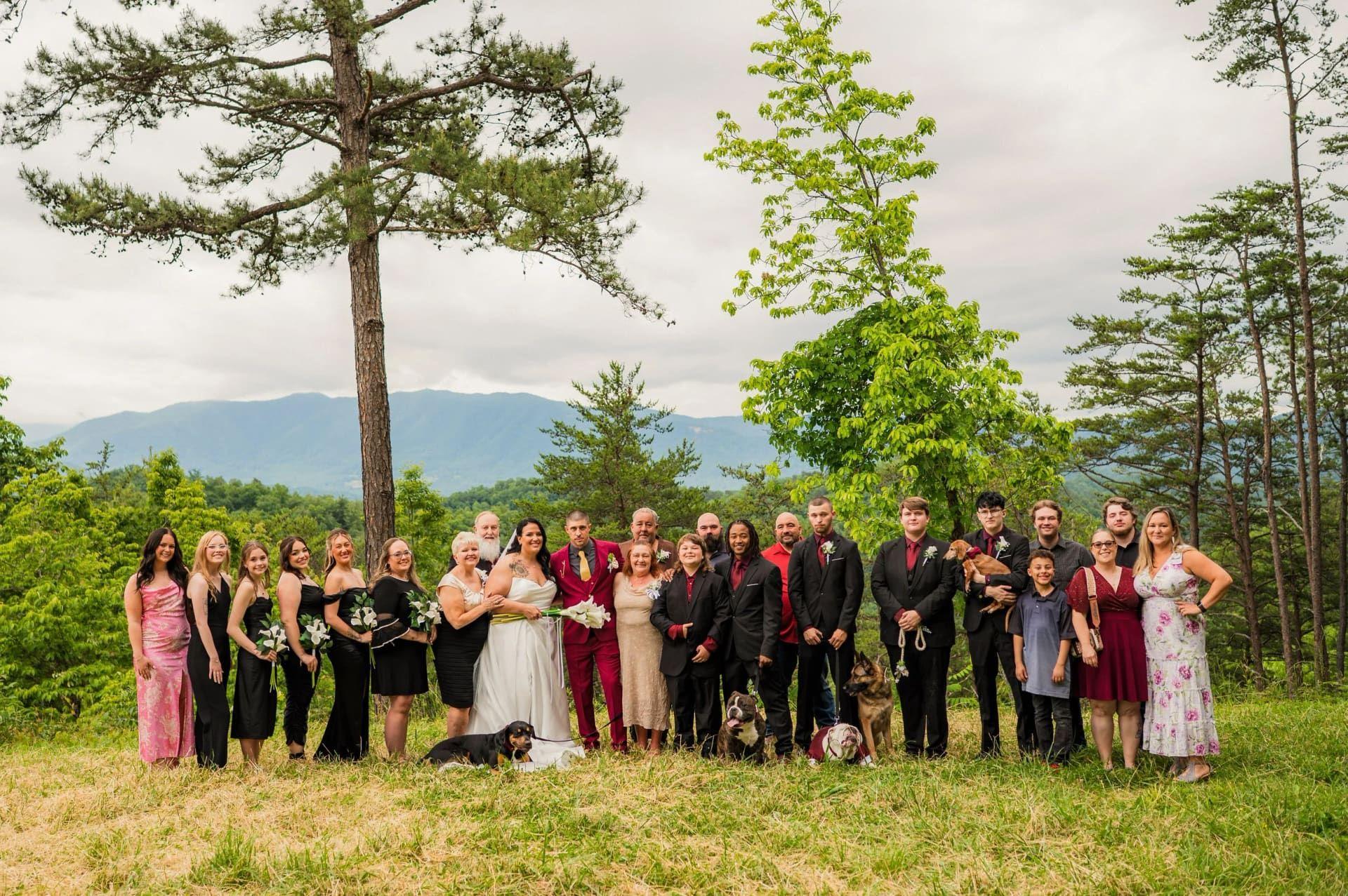 Foothills Parkway elopement photo