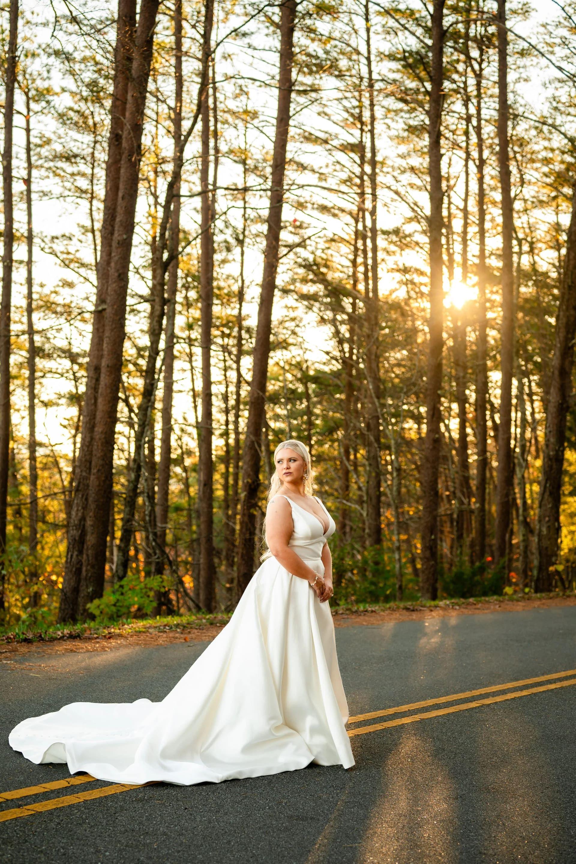 Foothills Parkway elopement photo