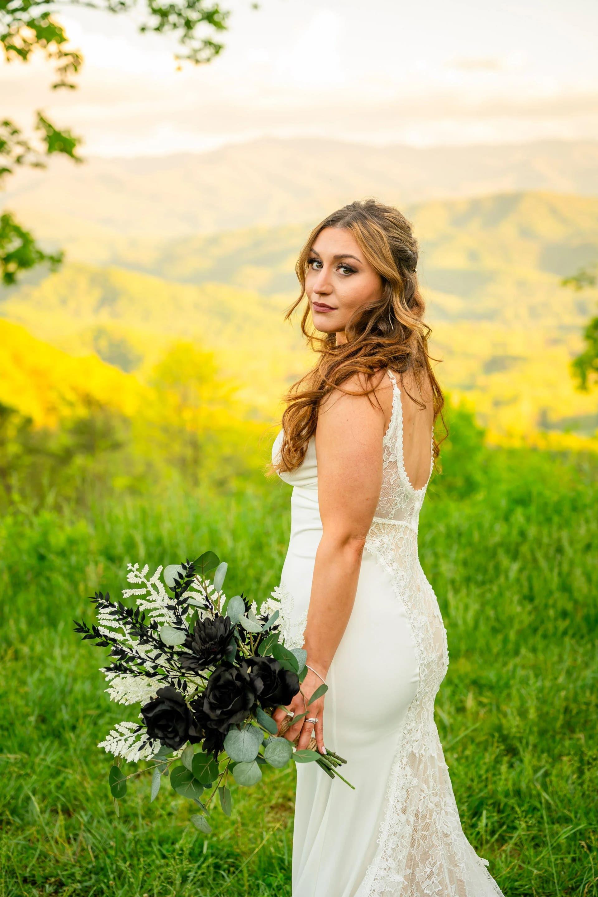 Foothills Parkway elopement photo