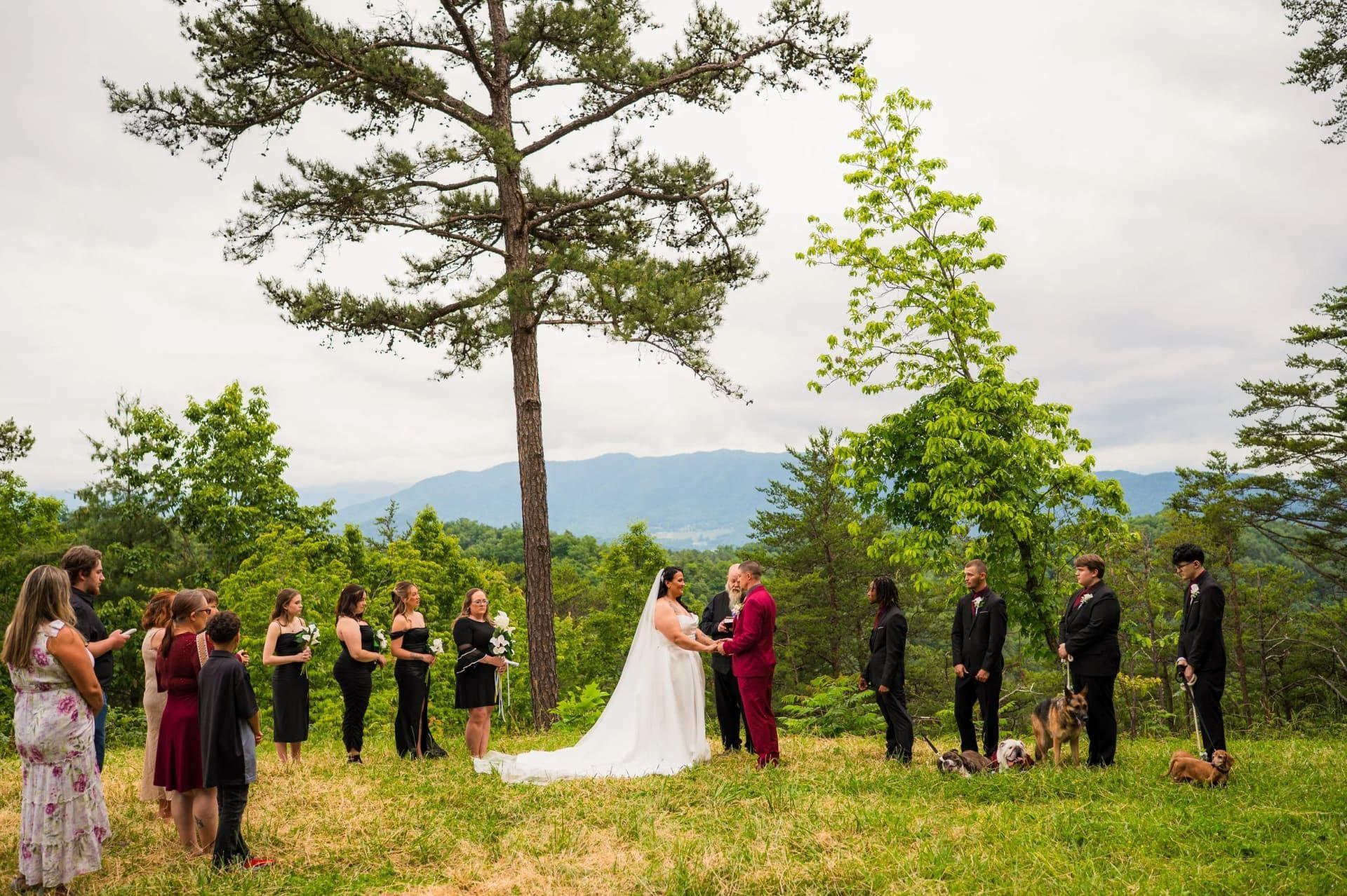 Foothills Parkway elopement photo